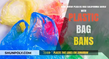 California's Plastic Bag Ban: A Sustainable Impact on Waste Reduction