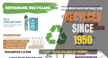 The Plastic Recycling Myth: A Historical Perspective