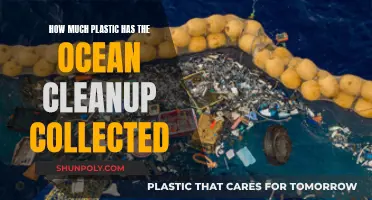 The Ocean Cleanup's Plastic Collection: How Much So Far?