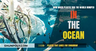 The Ocean's Plastic Problem: A Global Dumping Ground