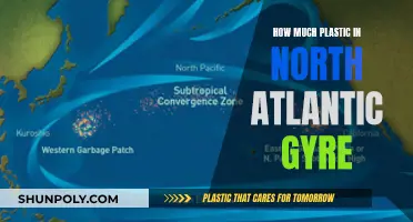 The North Atlantic Gyre's Plastic Pollution Problem