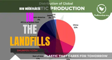 Plastic Pollution: Landfills and the Environmental Crisis