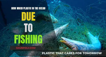 Ocean Fishing: Plastic's Unseen Cost