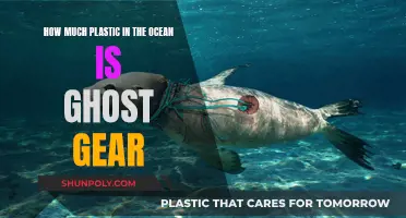 Ghost Gear Haunts Our Oceans: A Plastic Menace