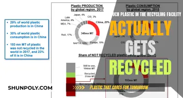 The Surprising Truth: Recycling's Plastic Paradox