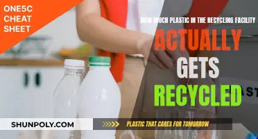 Recycling Facilities: How Much Plastic Actually Gets Recycled?