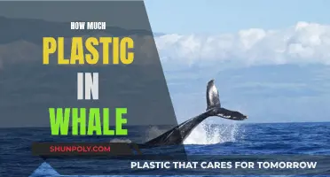 Whale Autopsy Reveals Horrifying Plastic Statistics