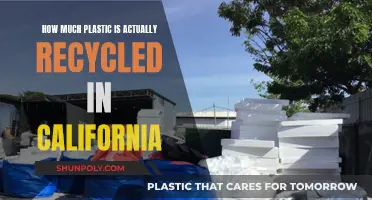 California's Plastic Recycling Efforts: How Effective?