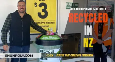 The Reality of Plastic Recycling in New Zealand