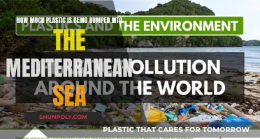 Plastic Pollution Crisis in the Mediterranean Sea
