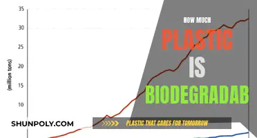 The Plastic Problem: Biodegradable Solutions