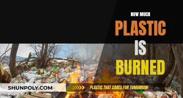 The Burning Question: Plastic's Toxic Trail