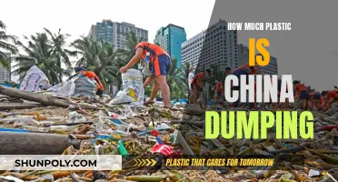 China's Plastic Dumping Crisis: An Environmental Catastrophe