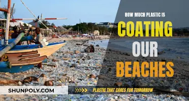 Beaches in Peril: Plastic's Chokehold on Our Coasts