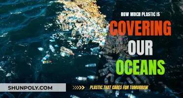 Plastic Oceans: The Devastating Impact of Human Activity