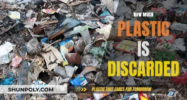 The Plastic Crisis: Discarded, Not Degraded