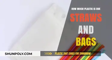 Straws, Bags, and Plastic Waste: Uncovering Their Environmental Impact