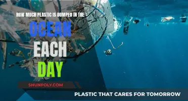 The Ocean's Daily Plastic Dumping Disaster