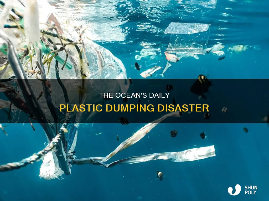 how much plastic is dumped in the ocean each day