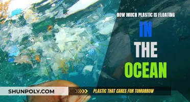 The Ocean's Plastic Problem: An Ominous Floating Menace