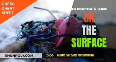 The Menace of Plastic on Water Surfaces