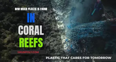 Plastic Pollution in Coral Reefs: A Growing Concern