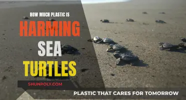 Plastic's Impact: Devastating Harm to Sea Turtles