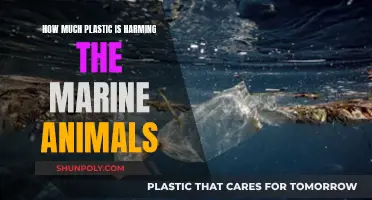 Plastic's Impact: Marine Life Endangered by Pollution