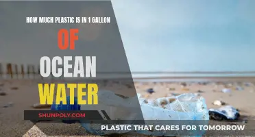 Ocean Water: Plastic Pollution in Every Gallon