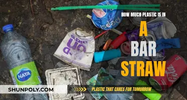 Plastic Straws: The Hidden Environmental Disaster