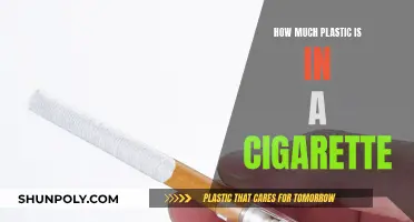 Cigarettes: Plastic Pollution in Disguise