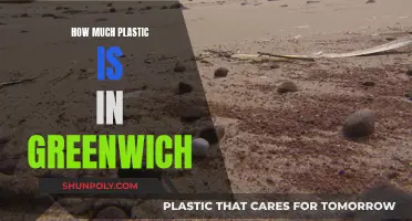 Greenwich's Plastic Pollution: A Comprehensive Overview