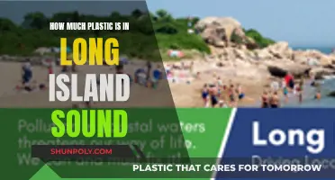 The Long Island Sound's Plastic Pollution Crisis