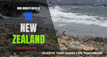 Plastic Pollution in New Zealand: A Comprehensive Overview