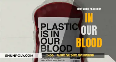 Plastic in Our Blood: What's the Harm?