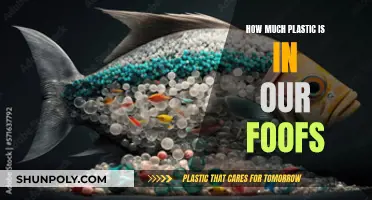 Plastic in Our Food: What's the Real Cost?