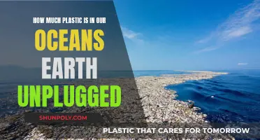 Plastic Oceans: Earth's Crisis and Solutions