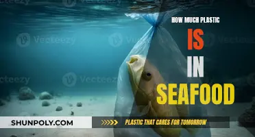 The Ocean's Plastic Problem: Seafood's Plastic Contamination