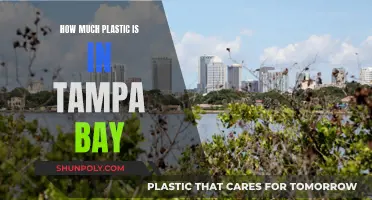 Tampa Bay's Plastic Pollution: A Comprehensive Overview