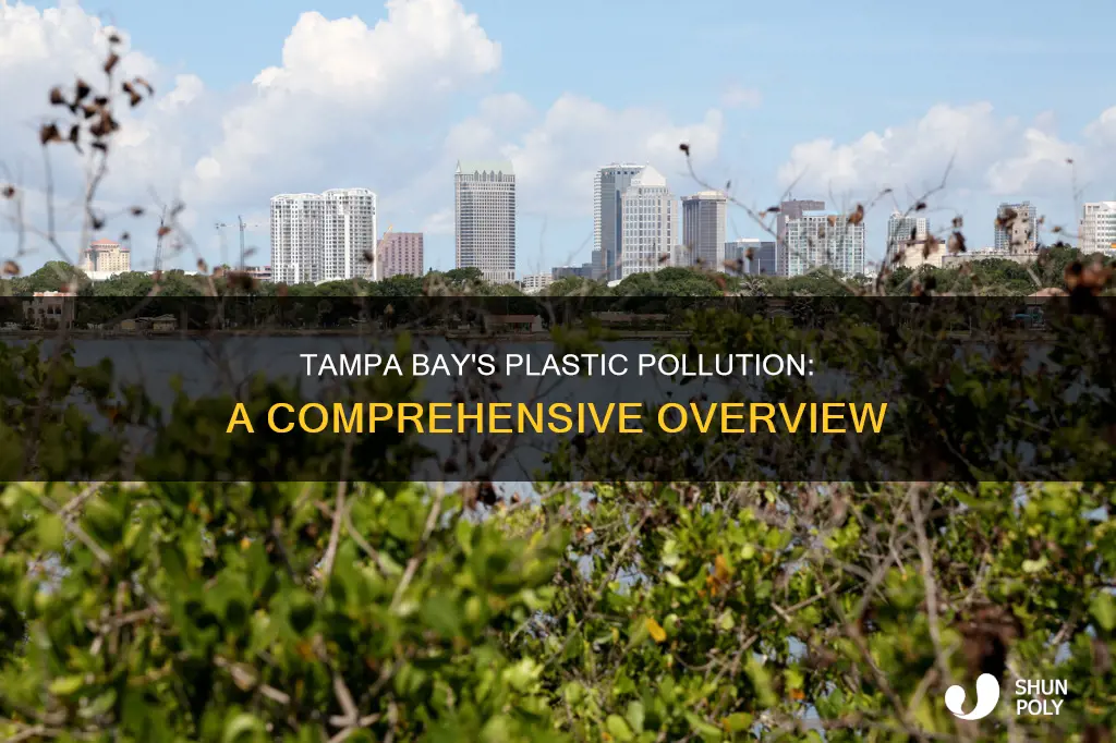 how much plastic is in tampa bay