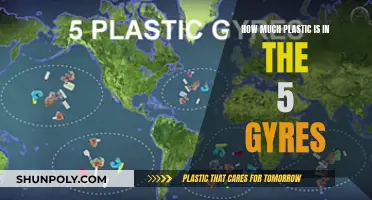 The Ocean's Plastic Crisis: Exploring the 5 Gyres