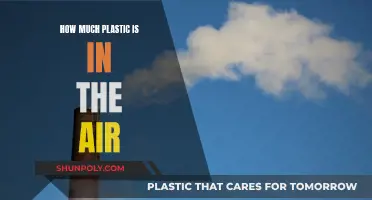 Plastic Pollution: What's in the Air We Breathe?