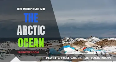 Arctic Ocean's Plastic Pollution: A Growing Concern