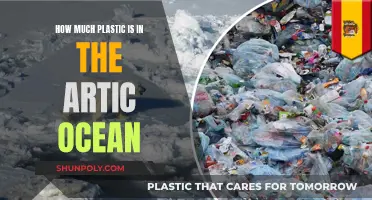 Plastic Pollution in Arctic Ocean: A Growing Concern