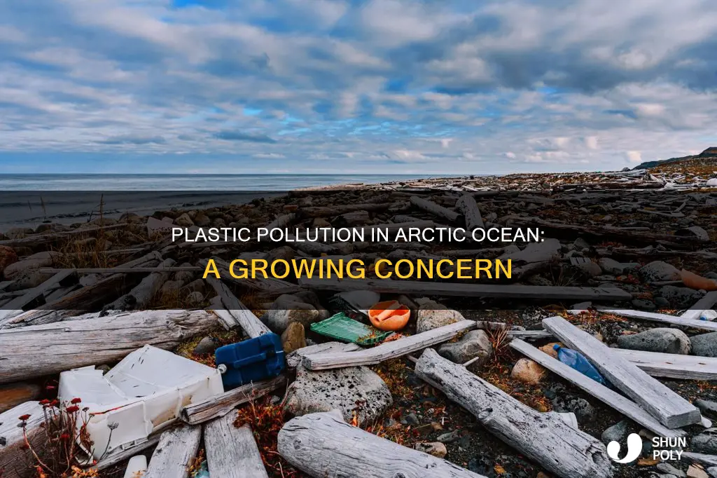 how much plastic is in the artic ocean