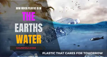 Plastic Pollution: Our Water's Plastic Problem