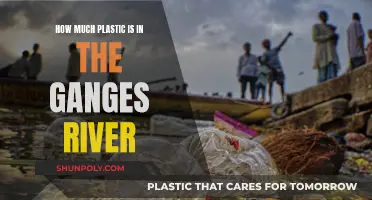 Ganges River: A Plastic Pollution Crisis