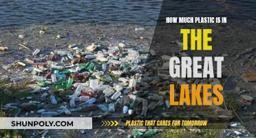 Great Lakes Plastic Pollution: A Growing Concern