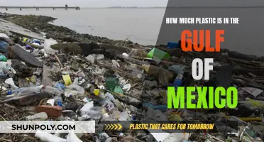 Plastic Pollution in Gulf of Mexico: Devastating Impact