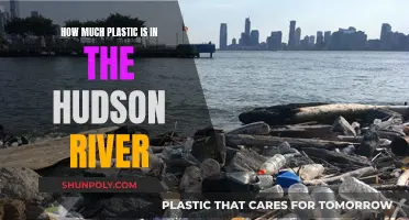 Plastic Pollution in Hudson River: A Serious Concern